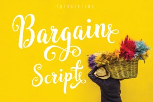Bargain Script: Bold, Beautiful, and Practical